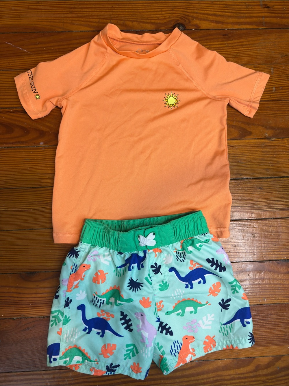 Cat & Jack & All In Motion Toddler Boy Dinosaur Swim Trunks Rash Guard Set